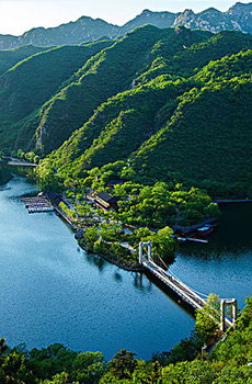 業(yè)務(wù)內(nèi)容